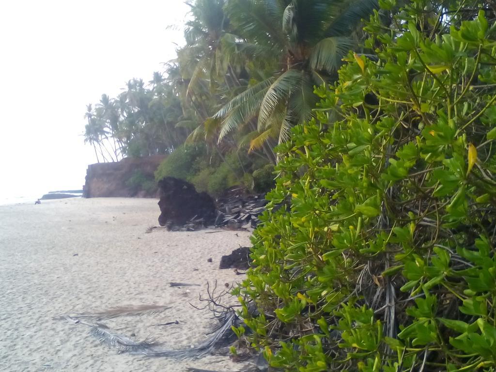 Ivory Coaste Hotel Kannur Luaran gambar