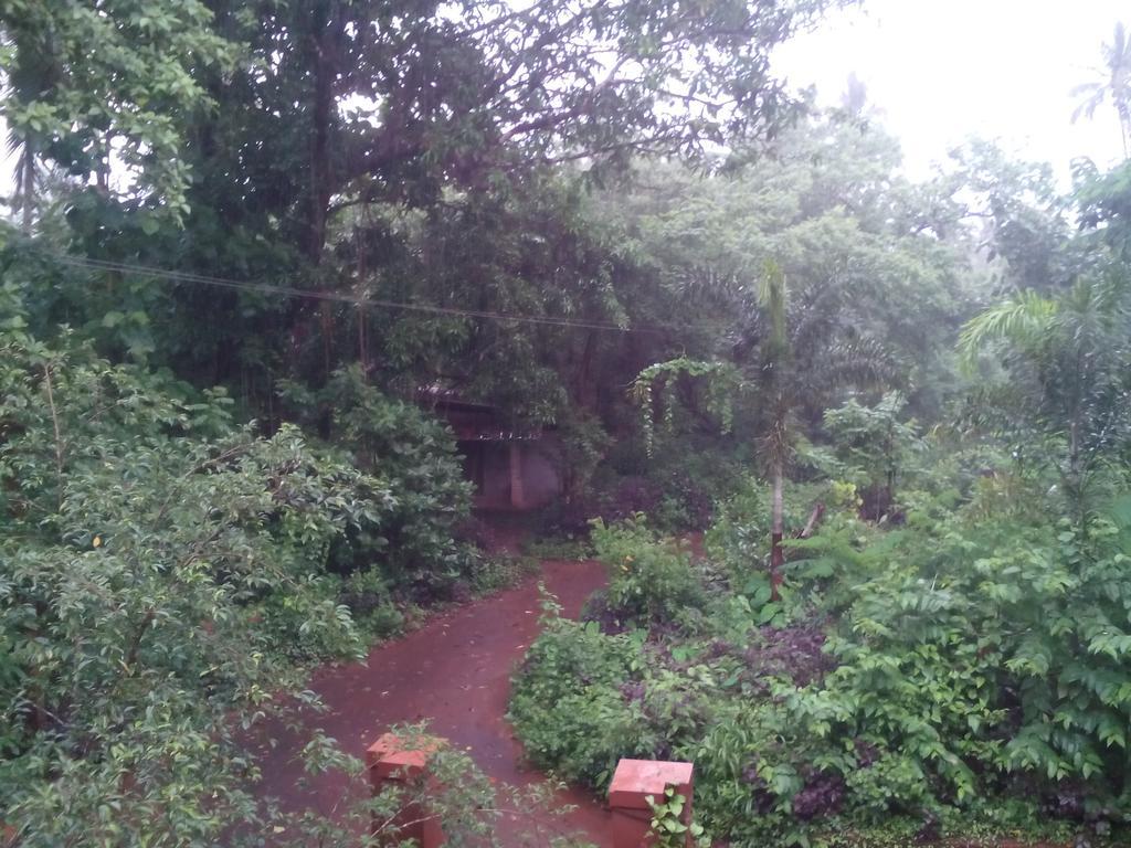 Ivory Coaste Hotel Kannur Luaran gambar